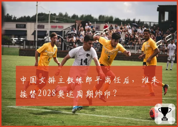 中国女排主教练郎平离任后,谁来接替2028奥运周期帅印?