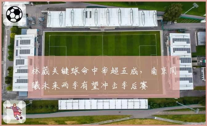 林葳关键球命中率超五成,南京同曦未来两季有望冲击季后赛