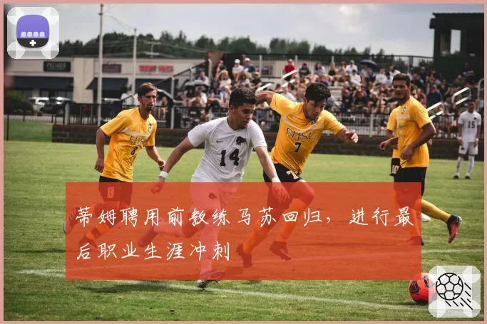 蒂姆聘用前教练马苏回归,进行最后职业生涯冲刺