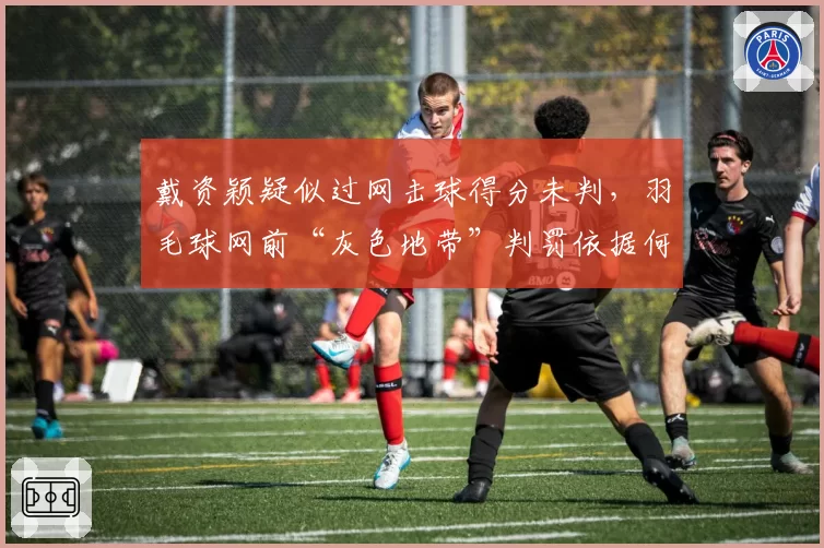 戴资颖疑似过网击球得分未判,羽毛球网前“灰色地带”判罚依据何在?