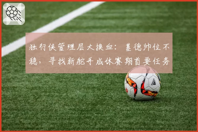 独行侠管理层大换血:基德帅位不稳,寻找新舵手成休赛期首要任务